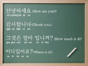 Gia sư dạy kèm tiếng Hàn tại quận 7